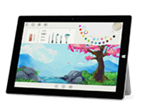 平湖Surface 无法开启、Windows 无法启动或电池无法充电